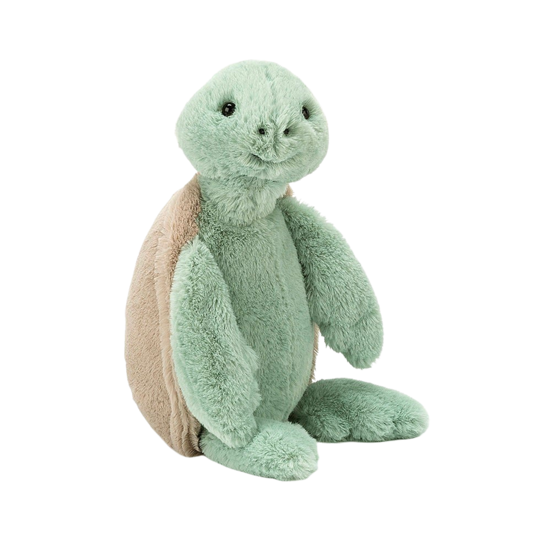 Bashful Turtle
