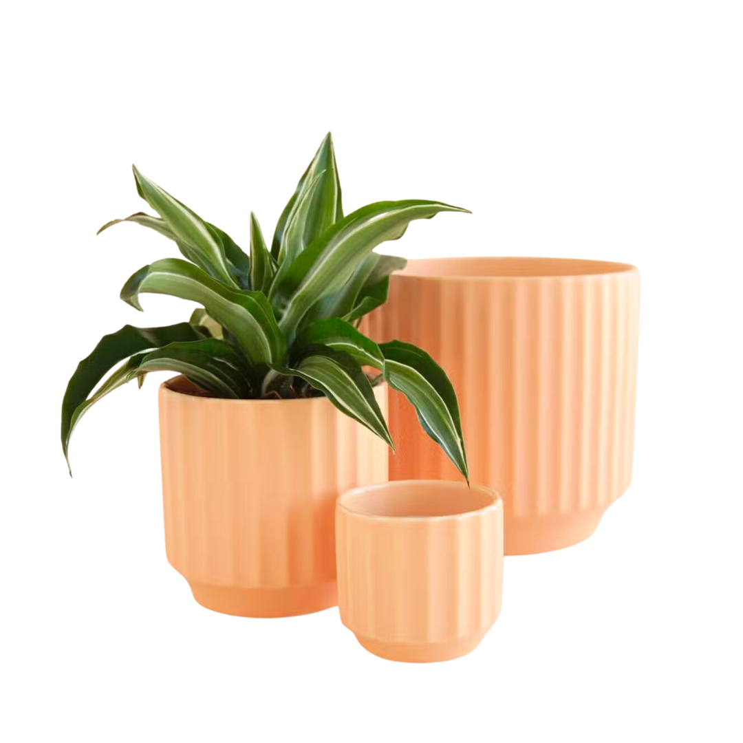 Monroe Planter