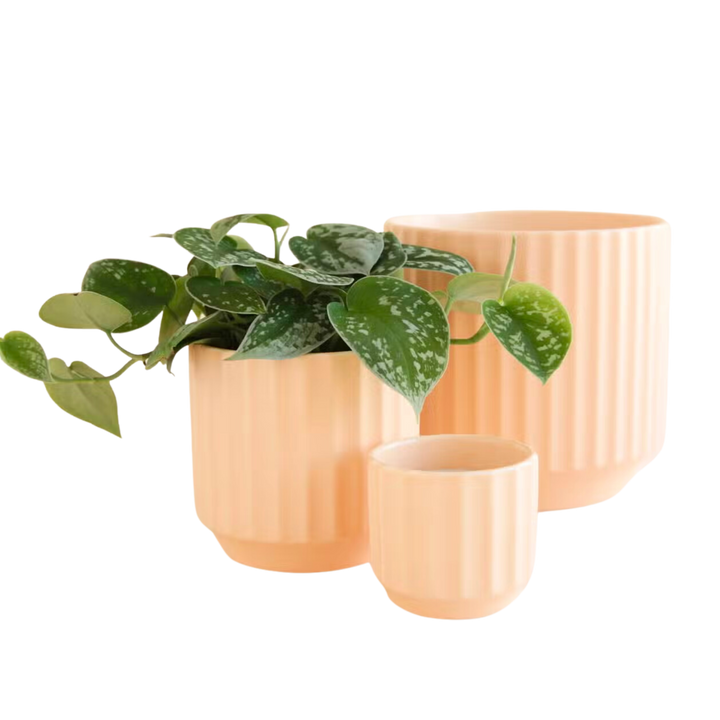 Monroe Planter