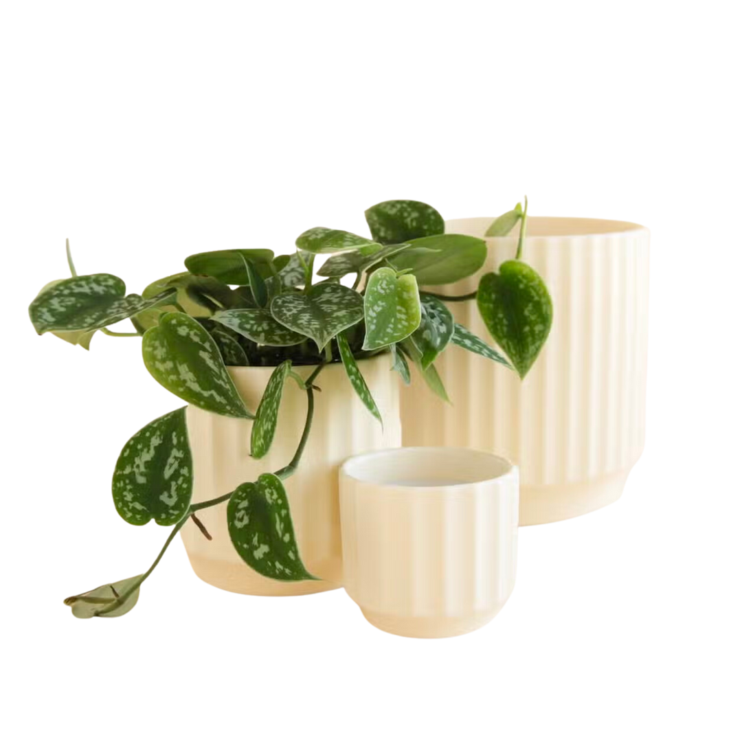 Monroe Planter
