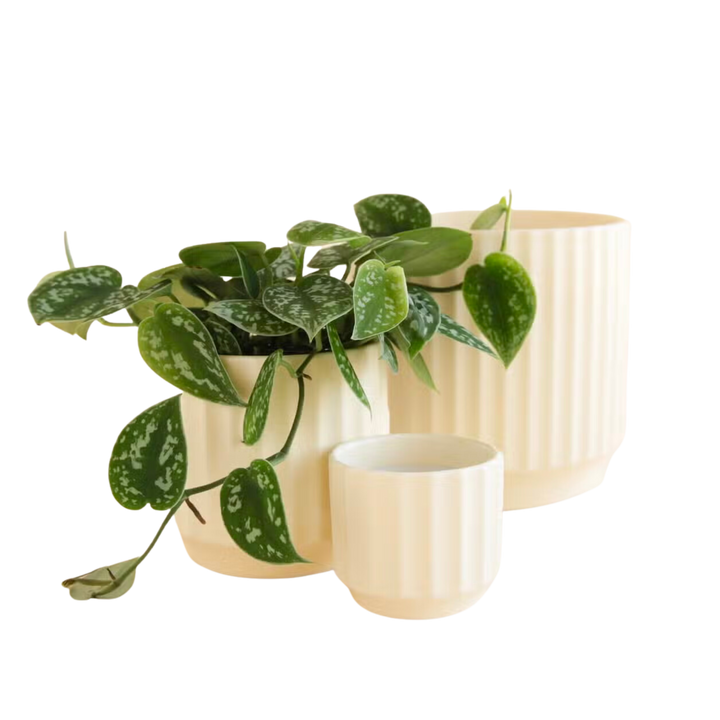 Monroe Planter