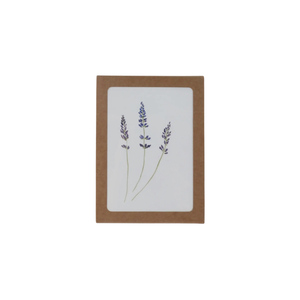 Lavender Card Box Set