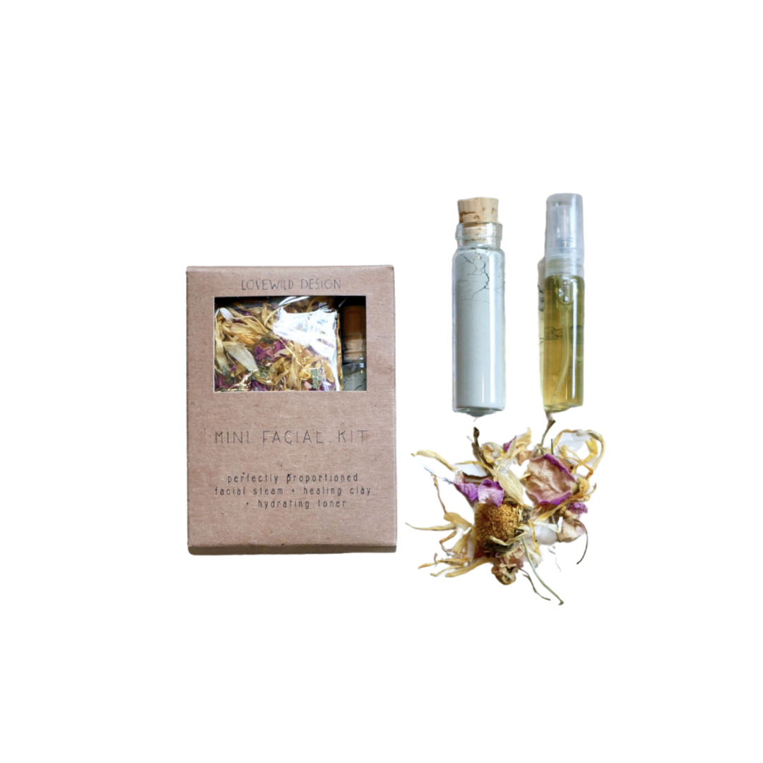 Mini Facial Kit
