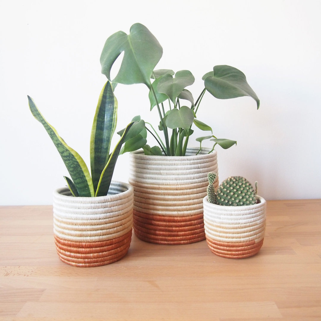 Juru Basket Planter