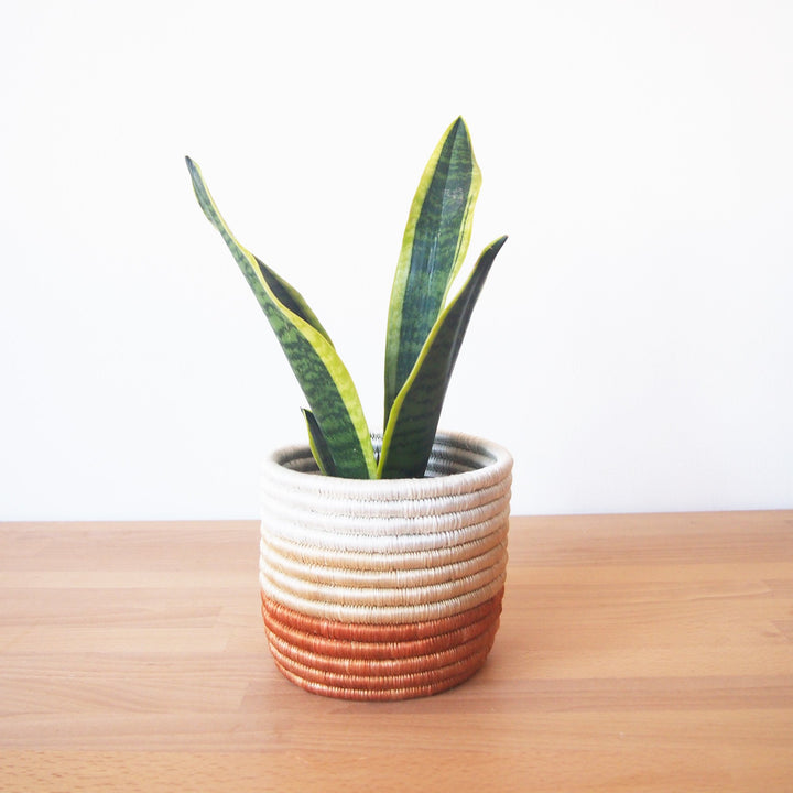 Juru Basket Planter