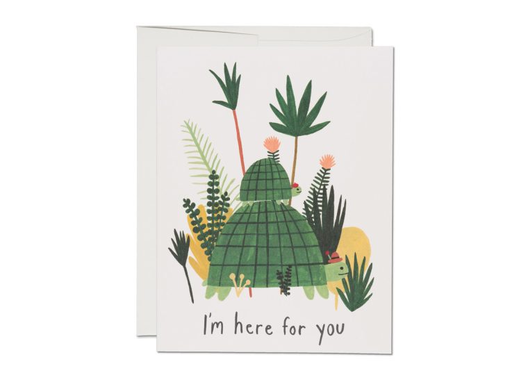 Here For you Turtles