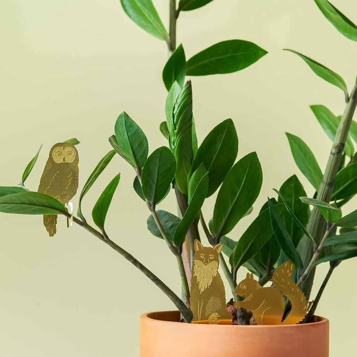 Plant Animals
