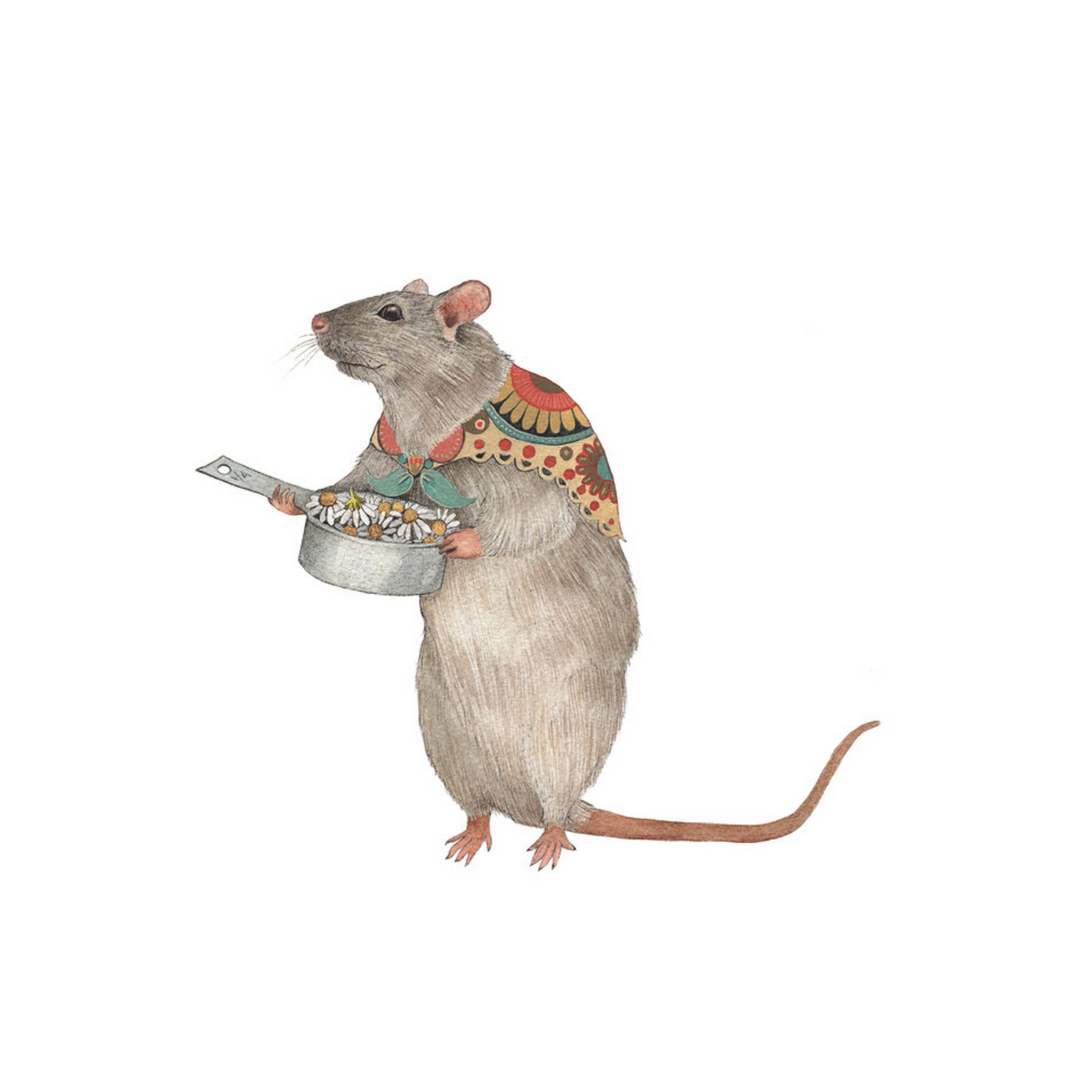 Woodland Kitchen: Cindy the Measuring Rat - Art Print