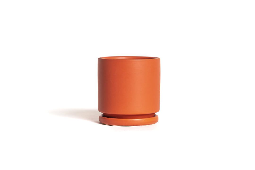 6.25" Cylinder Pots with Water Tray