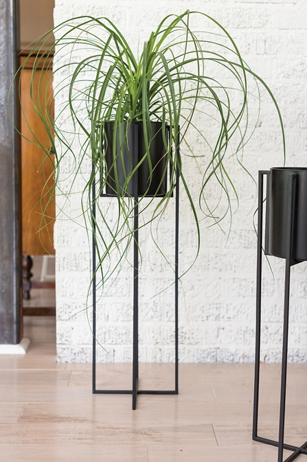 Black Plant Stand