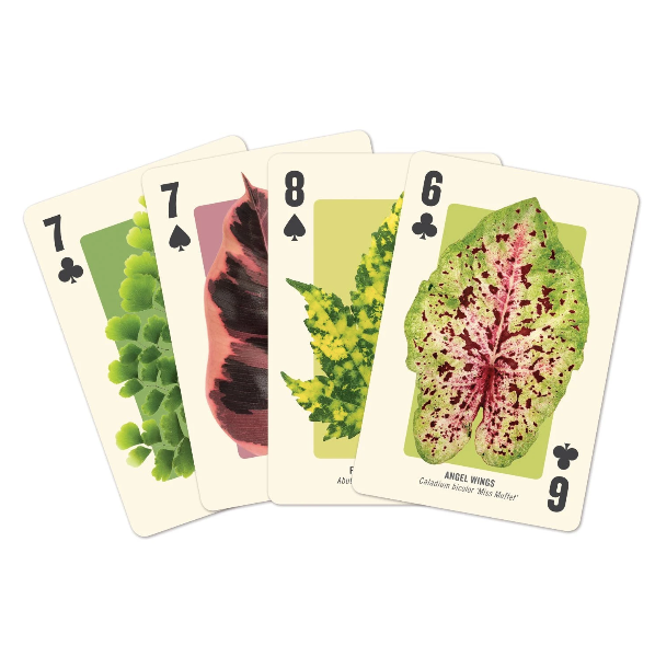Houseplant Playing Card Set