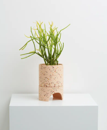 Archie Planter
