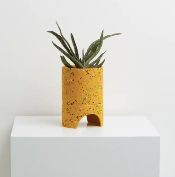 Archie Planter