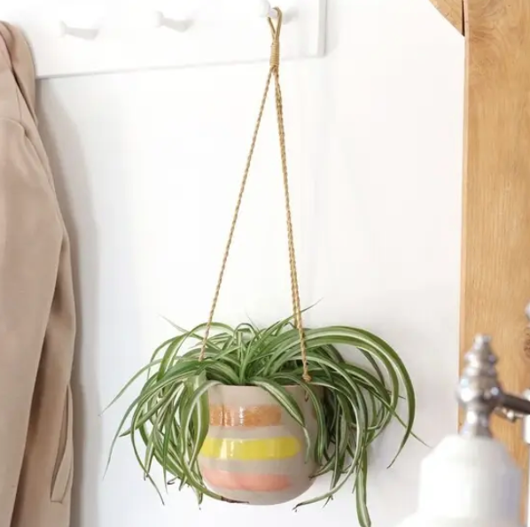Paint Stripe Natural Hanging Planter