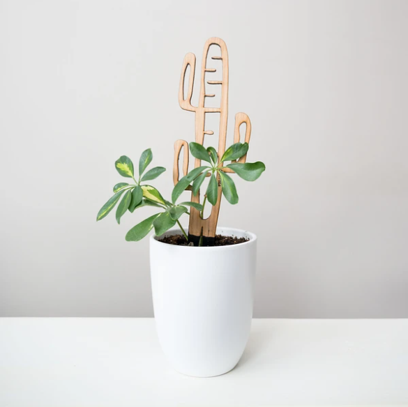Cactrella - Plant trellis inspired by the Barrel Cactus