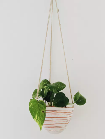 Horizon Line Variations Hanging Planter in Pink & Terracotta