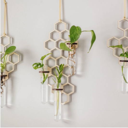 Honeycomb Hanging Propagation Station