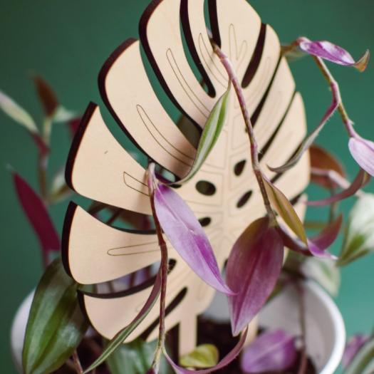 Monstera Leaf Trellis