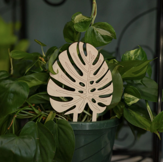 Monstera Leaf Trellis