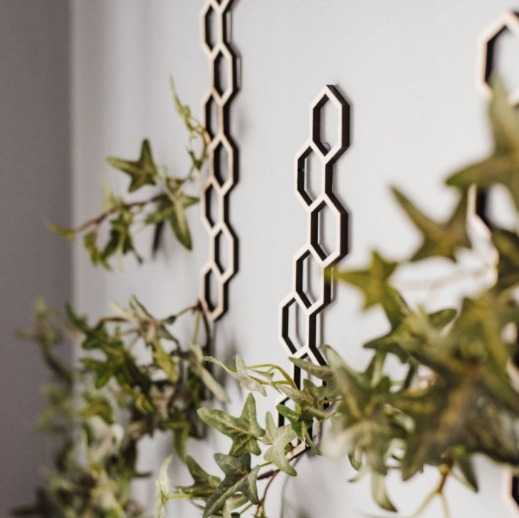 Wall Hanging Plant Trellis - Set of 3