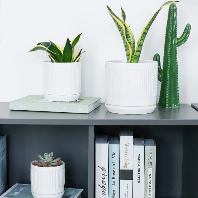 White Fluted Cylinder Ceramic Plant Pots