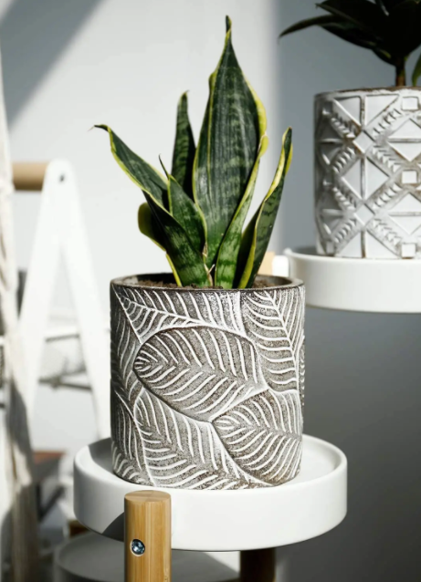 Vintage Leaf Cement Pot