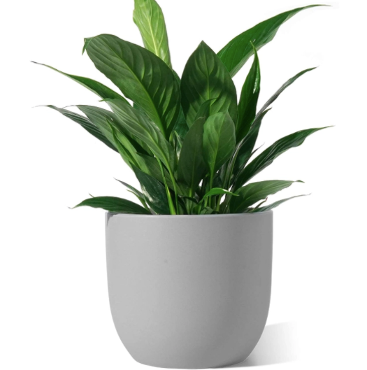 7" Grey Round Modern Ceramic Planter
