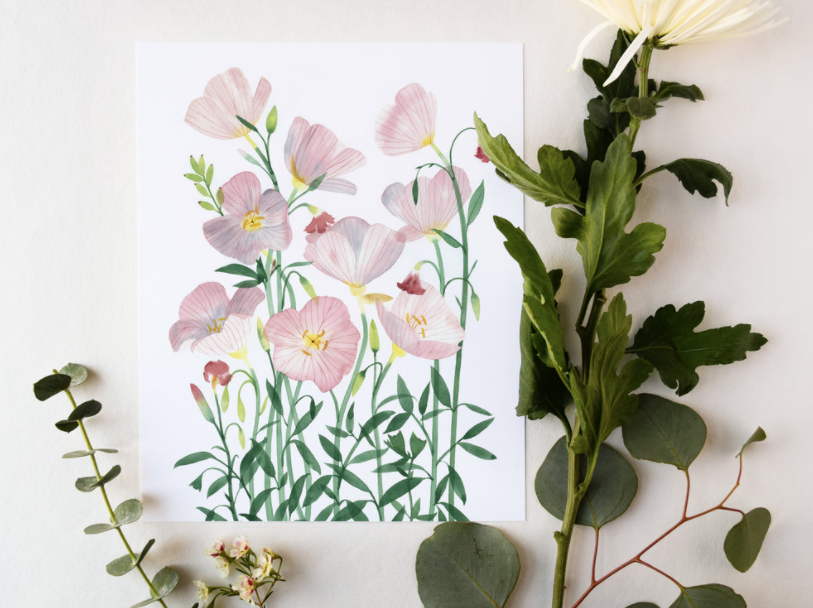 Primroses Art Print- 11"x14"