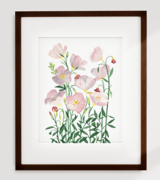 Primroses Art Print- 11"x14"