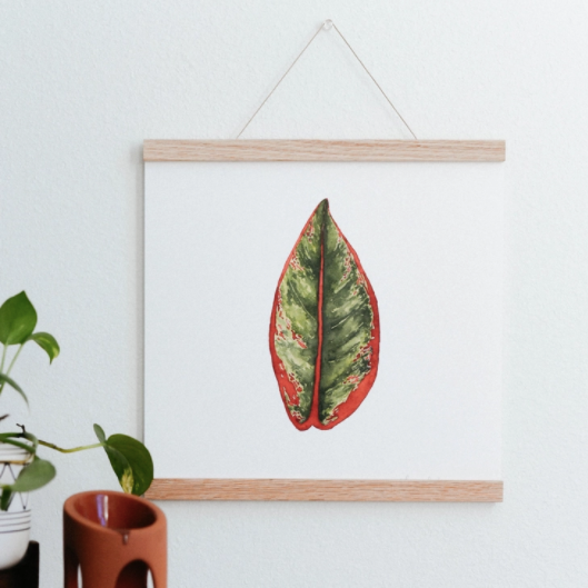 Chinese Evergreen Houseplant Art Print