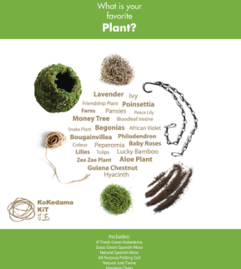 Kokedama Kit