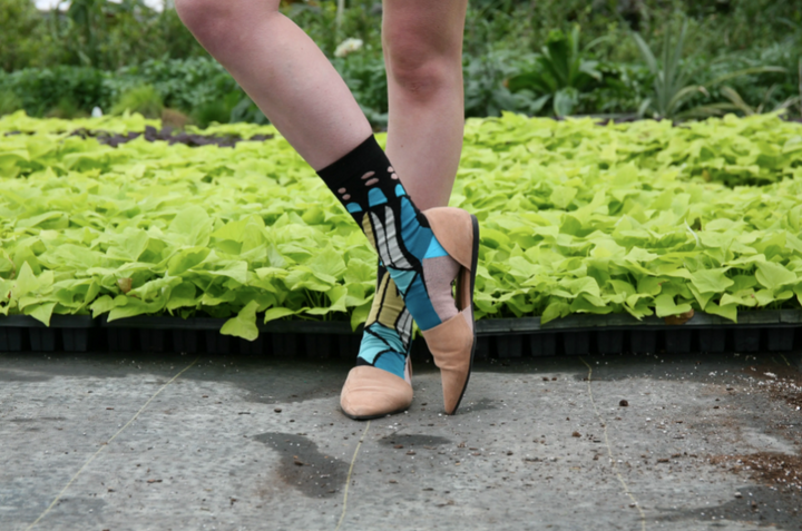 Social Butterfly Crew Socks