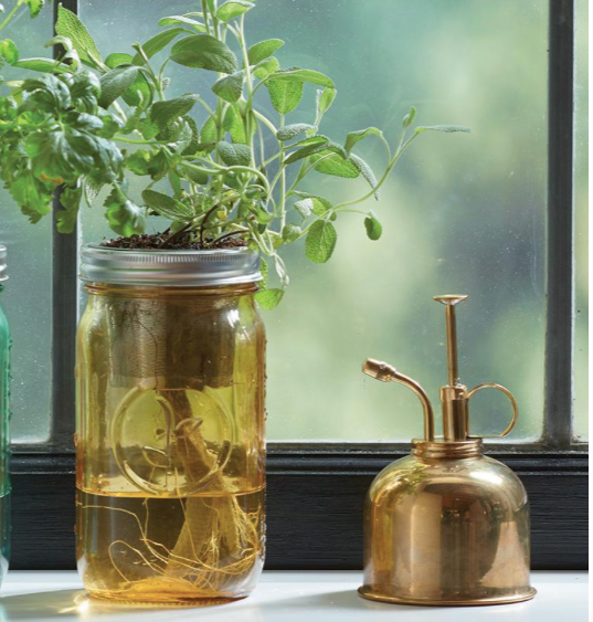 GARDEN JAR - OREGANO