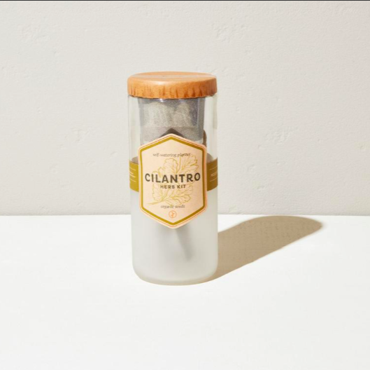 ECO PLANTER - ORGANIC CILANTRO
