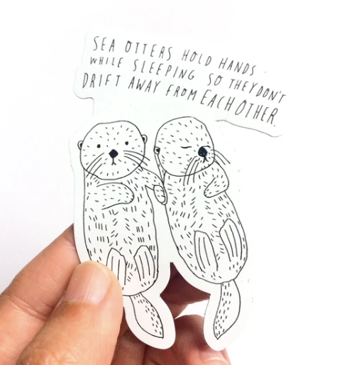 Sea Otter Holding Hands Magnet