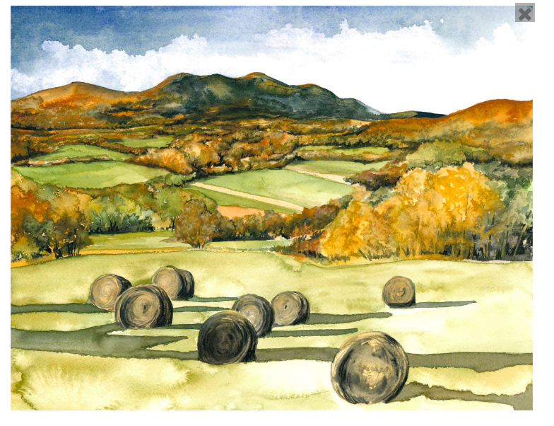Vermont Hayfield 5x7 Art Print