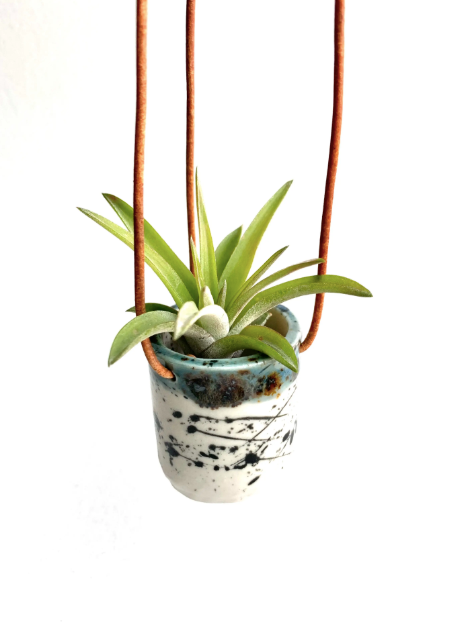 Ceramic Cup Hanging Air Plant Holder