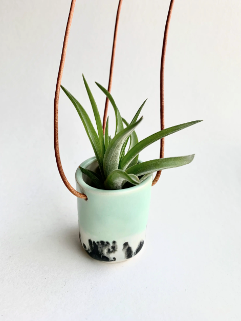 Ceramic Cup Hanging Air Plant Holder