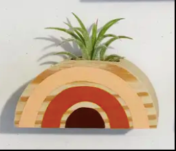 Rainbow Air Plant Magnet (PLANT NOT INCLUDED)