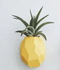 Pineapple Air Plant Magnets
