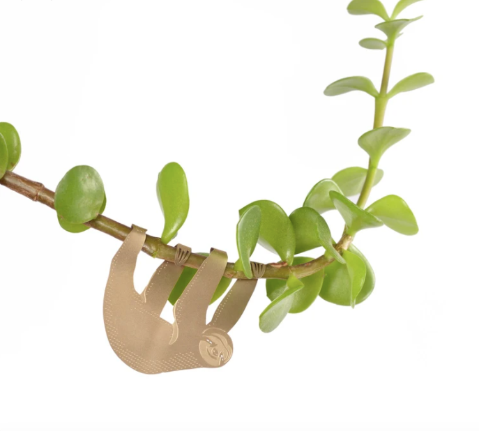 Plant Animals
