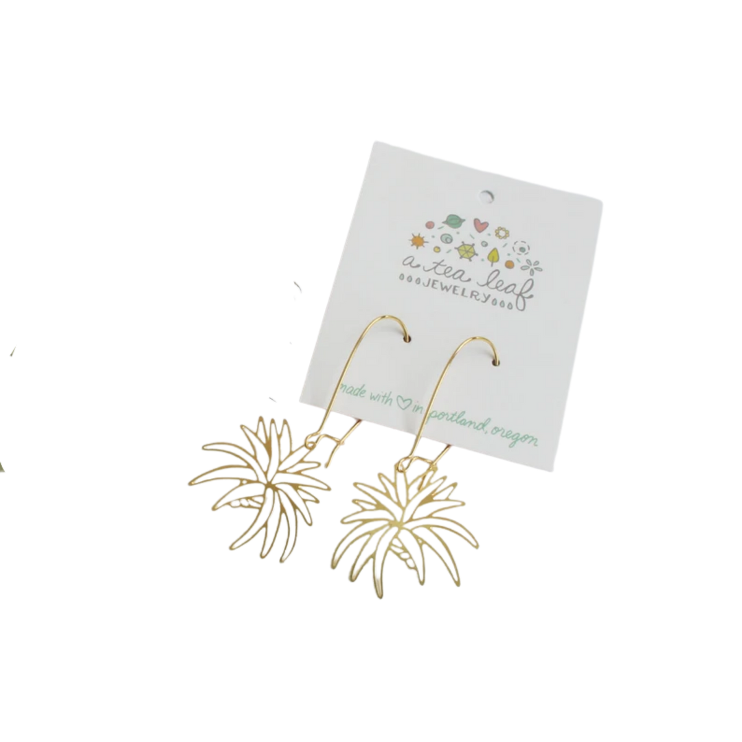 Air Plant Earrings | Style 1