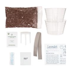WAXED PLANTER - LAVENDER GROW KIT
