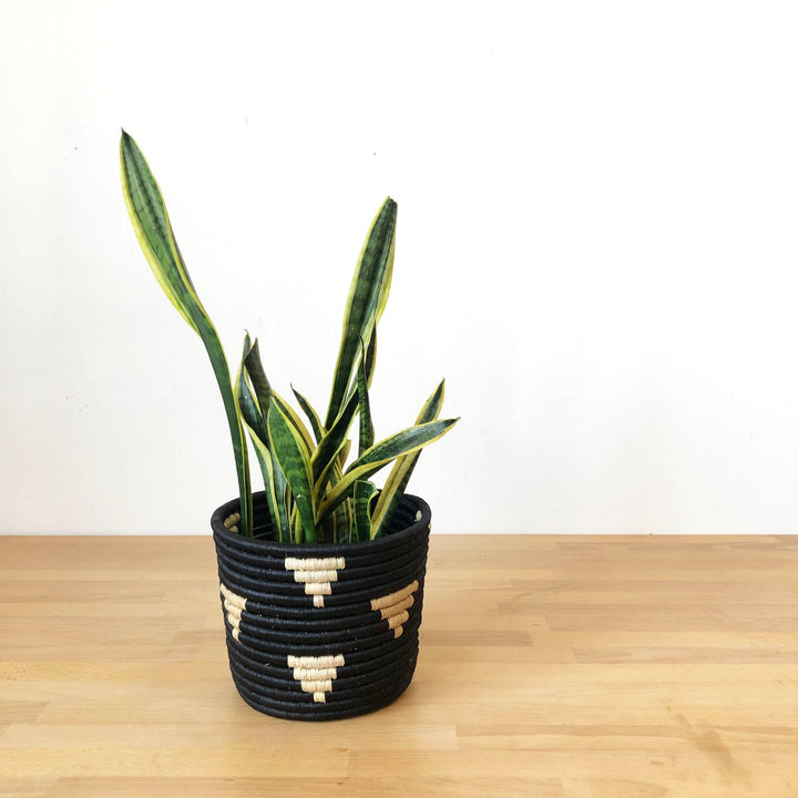 Mwamira Basket Planter