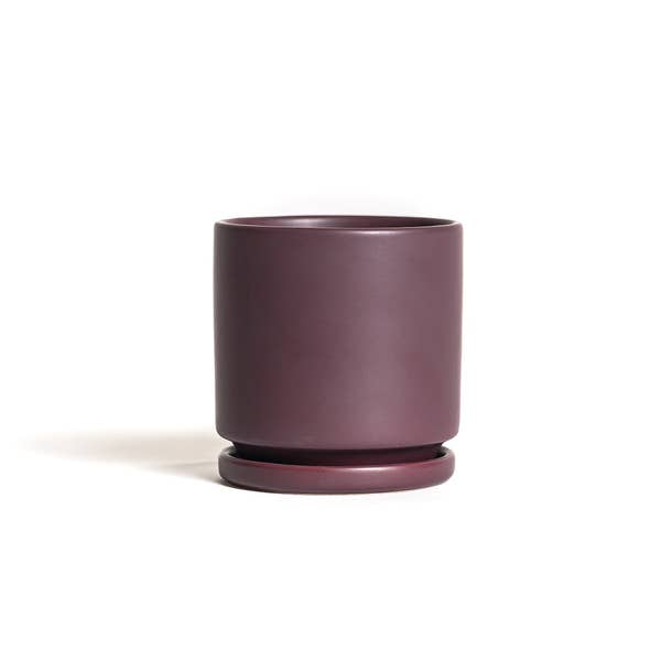 6.25" Cylinder Pots with Water Tray