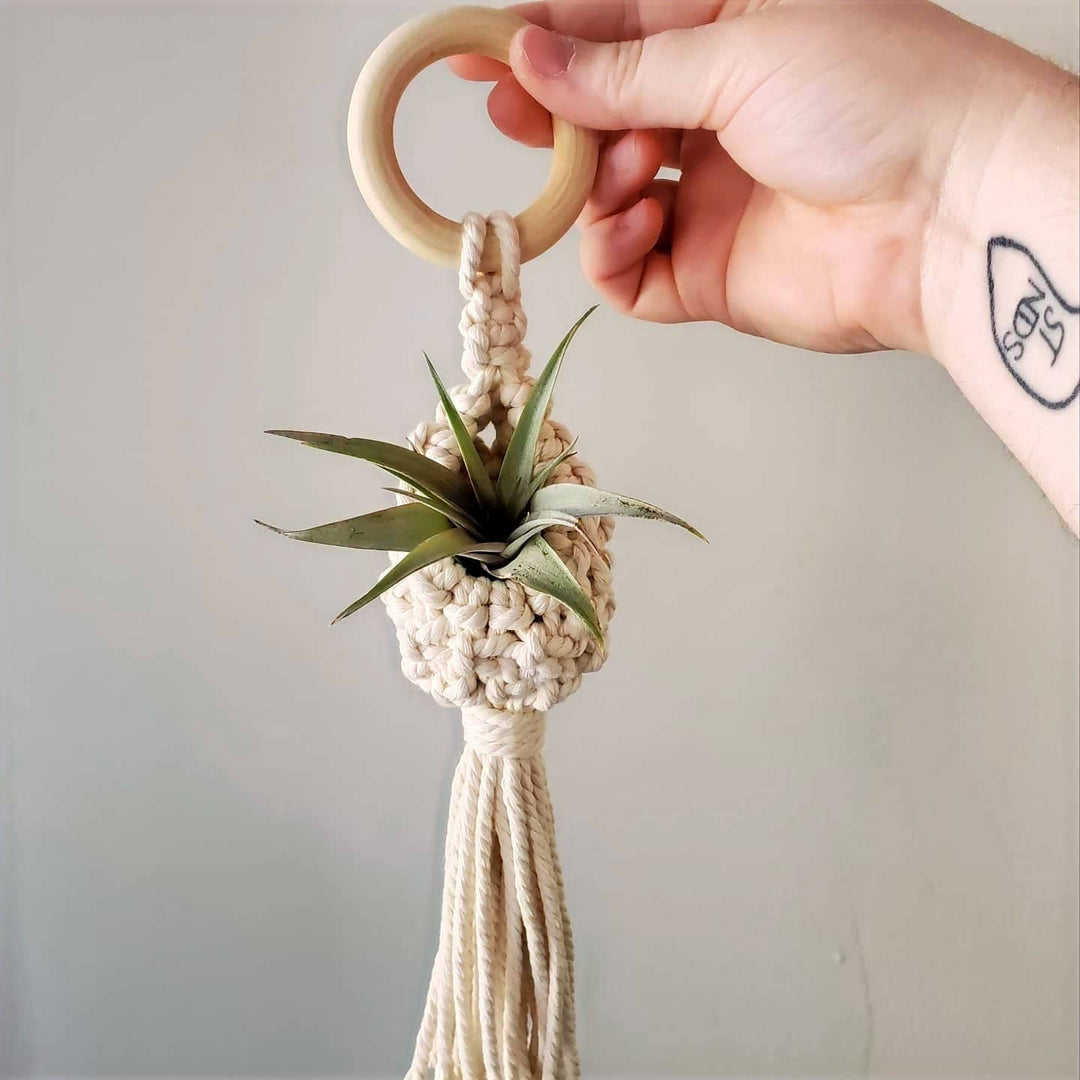 Macrame Air Plant Pod