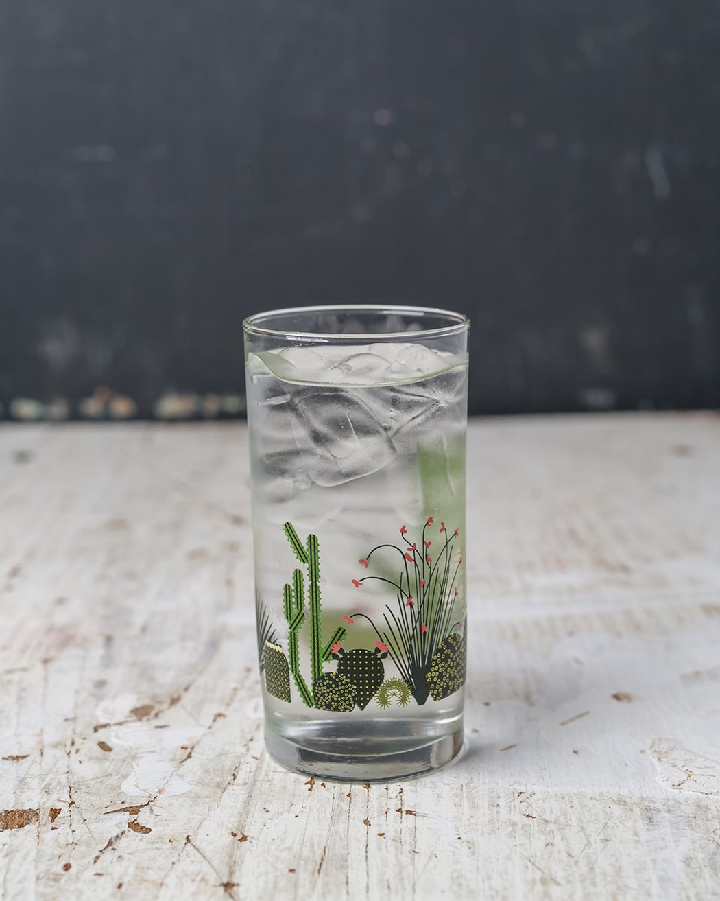 Desert Cactus Drinking Glass