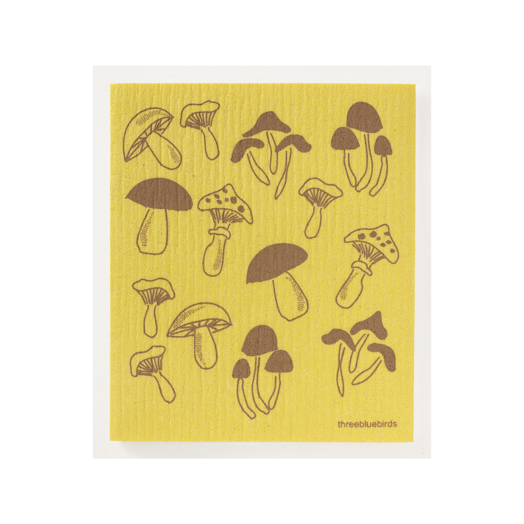 Fungi on Yellow Swedish Dishcloth