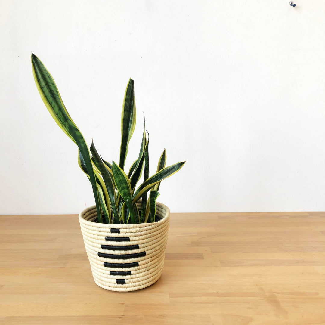 Nsyo Basket Planter
