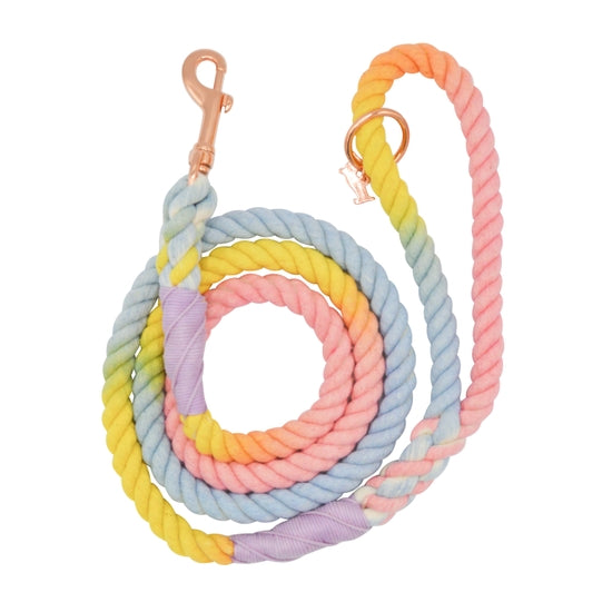 Fiesta Dog Rope Leash